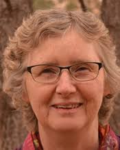 Apollo Next Generation Sample Analysis Program (ANGSA)