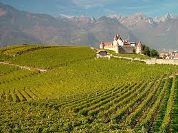 The Best Vineyards In Geneva Switzerland Lake Geneva Switzerland Lake Geneva Switzerland Travel