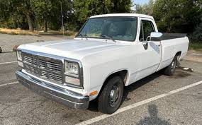 Image result for Bright White 1993 Dodge Truck