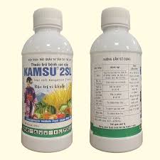 Kanras 72WP