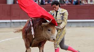 Image result for ivan fandiño