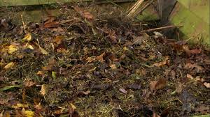 Vor der kompostierung sollten sie laub, zweige und äste mit einem häcksler. Dunger Aus Dem Garten Laub Fur Den Kompost Querbeet Br Fernsehen Fernsehen Br De