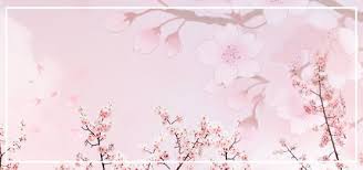 Minimalist aesthetic plain background pink. Flower Background Photos And Wallpaper For Free Download