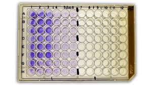 Image result for Neutralization Test