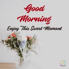 Love good morning quotes with flowers images. Good Morning Pic For Love Good Morning Photos With Flowers