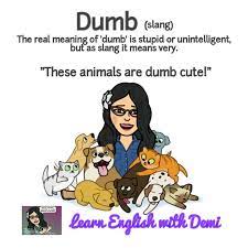 Slang Dumb Slang English English Vocabulary Words English Idioms And Phrases