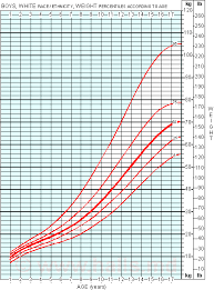 Boys Height Chart Suyhi Margarethaydon Com