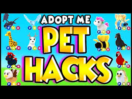 Welcome the adopt me free pets generator! All Adopt Me Secret Hacks 2020 Working Adopt Me Hacks Plus Free Fly P