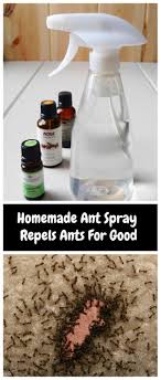 Safe for use around children and make sure you mix this ant repellent spray over the sink — when you add baking soda to vinegar it i've used this spray on our outdoor plants with great success. Homemade Ant Repellent Spray To Get Rid Of Ants For Good