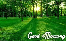 Good morning messages for friends'friends are like stars in the sky.you may not always notice them ,but they are always there watching over you.happy friendship day!.' Nature Good Morning Wallpapers Wallpaper Cave