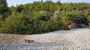 We did not find results for: Mandira Filozofu Filmin Cekildigi Yerin Yan Taragi Youtube