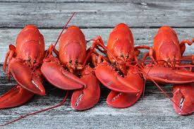 It is important to note that your lobsters will continue to cook even after they are removed from the grill. Why Do Lobsters Turn Red When They Re Cooked Live Science
