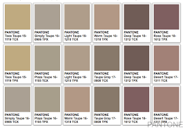 Taupe Color What Color Is Taupe