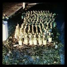 Gin N Tonic Hit The Floor I Ll Be Comin Back For More Hit The Floors Ceiling Lights Gin And Tonic