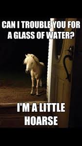 We all can use a little laugh now and then, and sometimes all you need is some catty jokes to save the day. Pin On National Joke Day