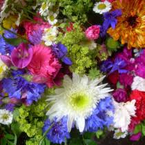 Enjoy the best free online jigsaw, with a new puzzle every day. Jigsaw Puzzles