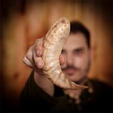 Viking Drinking Horn
