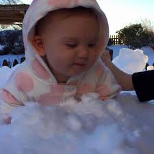 Reputable property managers in Baltimore?