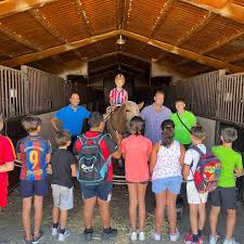 Image result for tbn:tVj6rqcH-AQR9M::www.pregonagropecuario.com.ar/images/caballo_overo.jpg