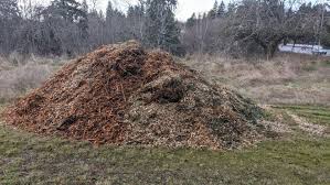 Mulching my garden with chip drop and update on zone 9b garden. Mid Month Marvels Chip Drop The View From A Drawbridge