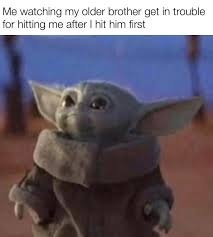 Me In Real Life Meirl Animal Memes Star Wars Memes Yoda Meme