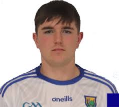 Wicklow GAA Awards 2018