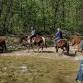 Horseback Riding + Barnyard Pets — 37 North event in Bentonville, AR