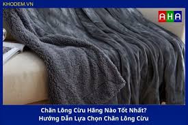Chăn Lông Cừu Hãng Nào Tốt Nhất? Hướng Dẫn Lựa Chọn Chăn