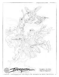 Drawing Sheets Jody Bergsmas Blog Bird Coloring Pages Coloring Pages Coloring Books