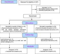 Patient Flowchart According To The Consort Statement