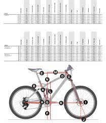 Trek Fuel Ex 8 Geometry Off 77 Medpharmres Com