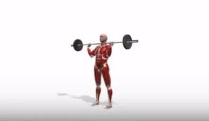 The seated barbell shoulder press is a classic exercise for building muscle and strength in the shoulders. Best Barbell Shoulder Press Gifs Gfycat