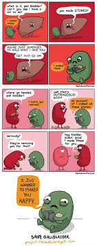 Poor Gallbladder Awkward Yeti Awkward Yeti Gallbladder Heart And Brain Comic