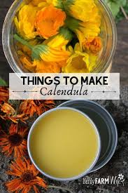 Check spelling or type a new query. 10 Things To Make With Calendula Flowers
