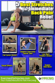 It is best to talk to a doctor before starting a new exercise or according to the university health services at berkley, ca, cat and camel stretches can reduce tightness and pain in the lower back. Pin On Back Pain Exercise S