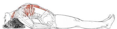 Matsyasana In Fish Pose The Chest Is Expanded For A More Calming Effect Particularly If Using The Matsyasana As A Counterpos Poses De Ioga Ioga Meditacao