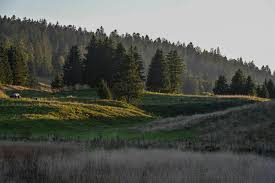 Belladollspicy nude she maintains taken really good care of