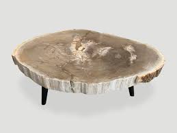 5 out of 5 stars. Rare High Quality Petrified Wood Slab Coffee Table 786rf Andrianna Shamaris
