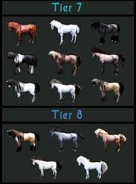 Black Desert Online Horse Colors Black Desert Online Failstack