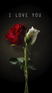 Download I Love You Wallpaper By Perfumevanilla Now Browse Millions Of Popular I Love Wallpape Beautiful Flowers Wallpapers Rose Wallpaper Red Roses Wallpaper