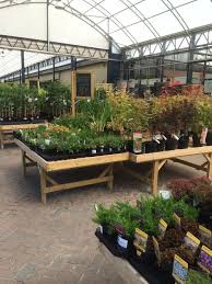 Garden Leisure Company Huntingdon Garden Centre Lifestyle Home Garden Farm Shop Whsmith L Garden Nursery Garden Center Displays Garden Center