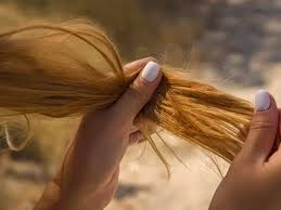 Here you may to know how to repair dry breaking hair. Difference Between Dry And Damaged Hair How To Treat Both