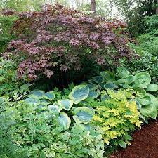20 Shade Garden Design Ideas That Prove You Can Grow Colorful Plants Anywhere Shade Garden Design Shade Garden Plants Shade Garden