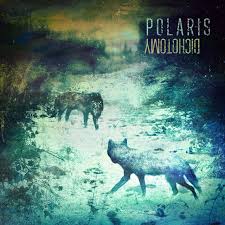 From ancient greek διχοτομία (dikhotomía, dichotomy). Dichotomy Single By Polaris Spotify