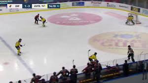 Getting into hockey / resources. 2021 Nhl Entry Draft Profile William Eklund F On The Forecheck