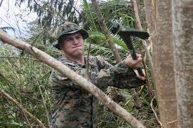 29 31st meu marines assist cleaning debris in rota after typhoon mangkhut  Images: NARA & DVIDS Public Domain Archive Public Domain Search