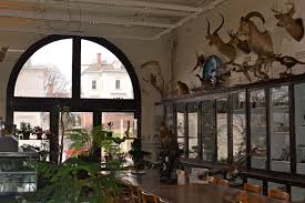 Our Risd Risd S Edna Lawrence Nature Lab Is A Treasure Risd Nature Edna