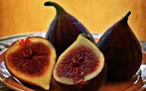 Slikovni rezultat za smokva slike