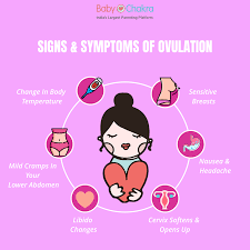 What are the signs and symptoms of ovulation? Babychakra Ovulation Symptoms Aren T Difficult To Facebook