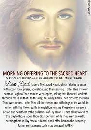 O jesus, through the immaculate heart of mary, i offer you all my prayers, works, and suffering of this day: Pin On Catholic